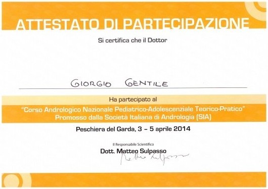 Attestato del Corso Andrologico Nazionale Pediatrico-Adolescenziale SIA, Peschiera del Garda 2014